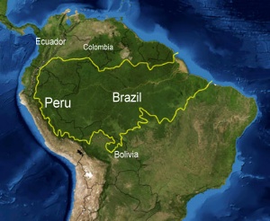 Amazon Rainforest Peru